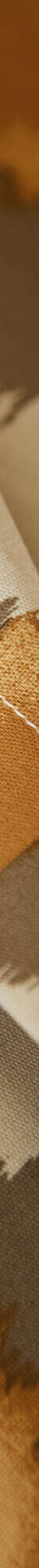 Linge de lit Pedro en polycoton imprimé peau de bête (sable) Linge de lit Pedro en polycoton imprimé peau de bête (sable)
